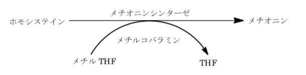 解説画像
